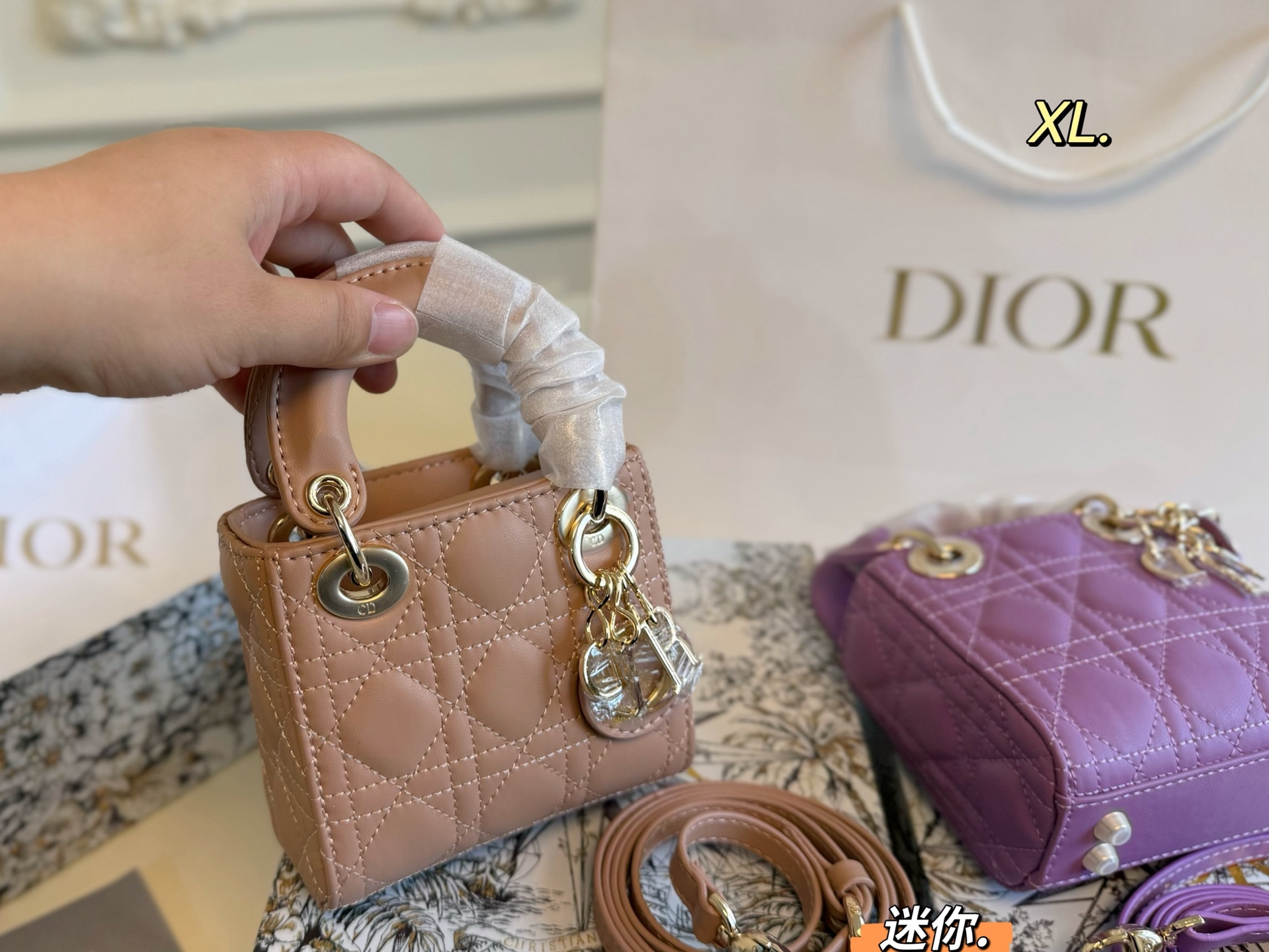 DIOR bag 15